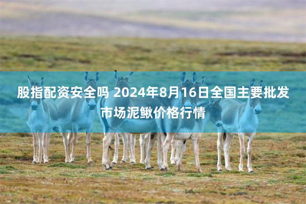 股指配资安全吗 2024年8月16日全国主要批发市场泥鳅价格行情