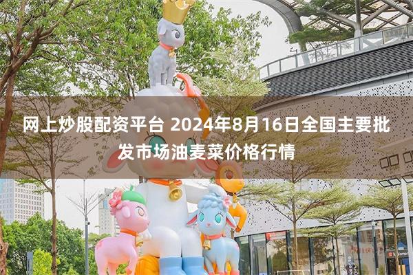 网上炒股配资平台 2024年8月16日全国主要批发市场油麦菜价格行情