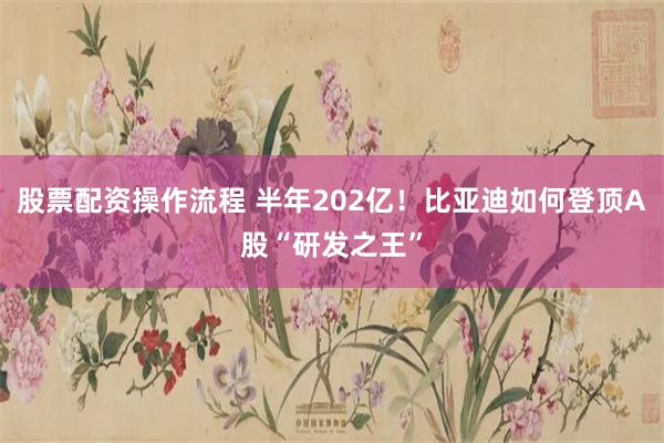 股票配资操作流程 半年202亿！比亚迪如何登顶A股“研发之王”