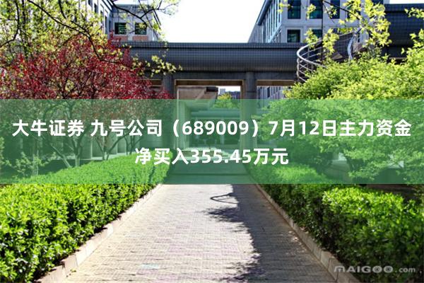 大牛证券 九号公司（689009）7月12日主力资金净买入355.45万元