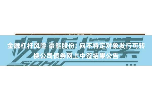 金融杠杆风险 豪能股份: 向不特定对象发行可转换公司债券网上中签结果公告