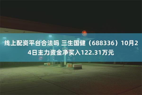 线上配资平台合法吗 三生国健（688336）10月24日主力资金净买入122.31万元