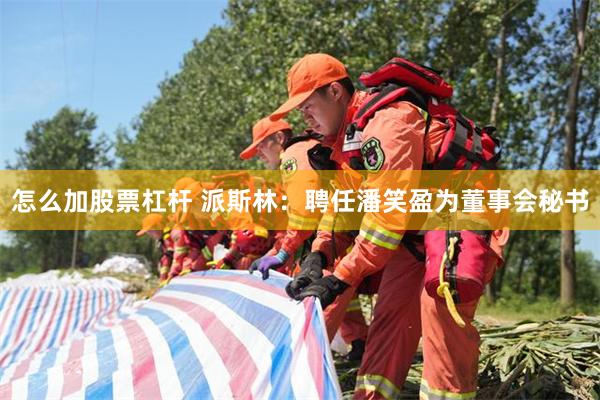 怎么加股票杠杆 派斯林：聘任潘笑盈为董事会秘书