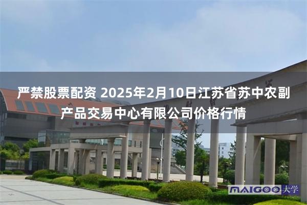 严禁股票配资 2025年2月10日江苏省苏中农副产品交易中心有限公司价格行情